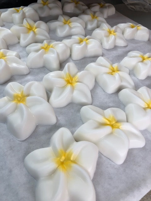 Hand-painted plumeria flower-shaped soap